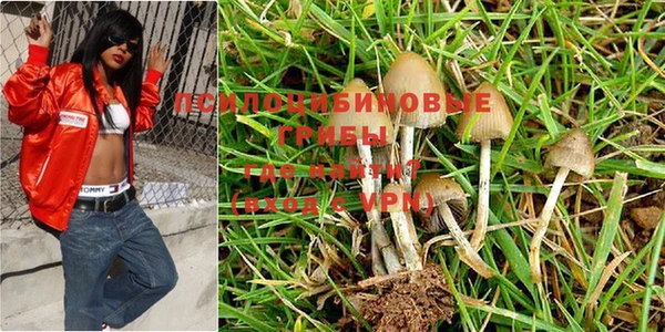 спиды Балабаново