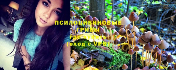 спиды Балабаново