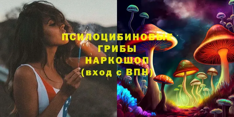 Псилоцибиновые грибы Psilocybe  kraken вход  Вуктыл 