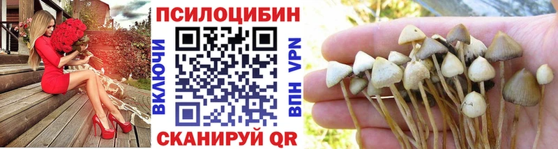 как найти закладки  Вуктыл  мориарти официальный сайт  Псилоцибиновые грибы MAGIC MUSHROOMS 